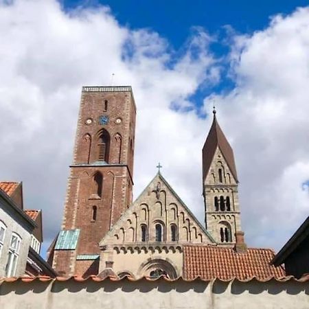 Charmerende Bolig Naer Domkirken Ribe Bagian luar foto