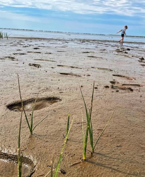 Charmerende Bolig Naer Domkirken Ribe Bagian luar foto