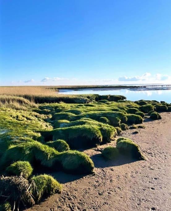 Charmerende Bolig Naer Domkirken Ribe Bagian luar foto